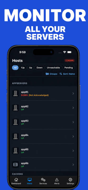 NagMon live host and service monitoring with filtering